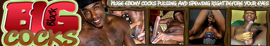 Big Black Cocks