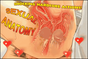 SEXUAL ANATOMY